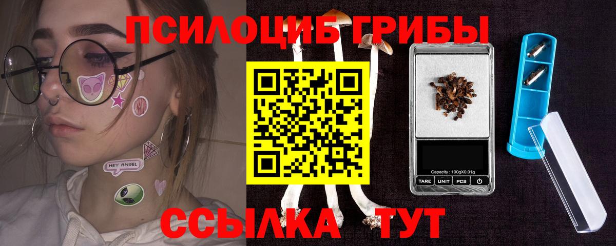 Галлюциногенные грибы MAGIC MUSHROOMS  Вход с VPN  Муром 